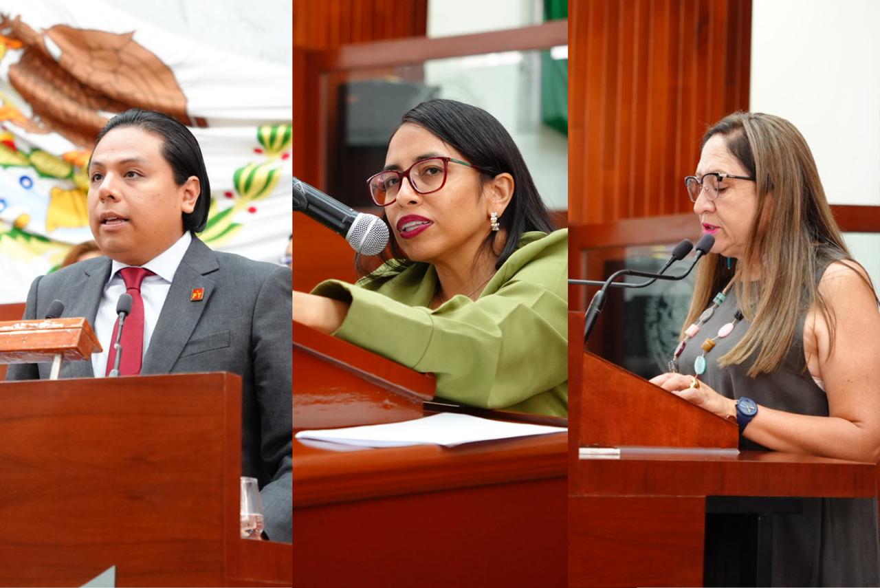Presentan iniciativa para garantizar acciones afirmativas en favor de personas con discapacidad en candidaturas electorales